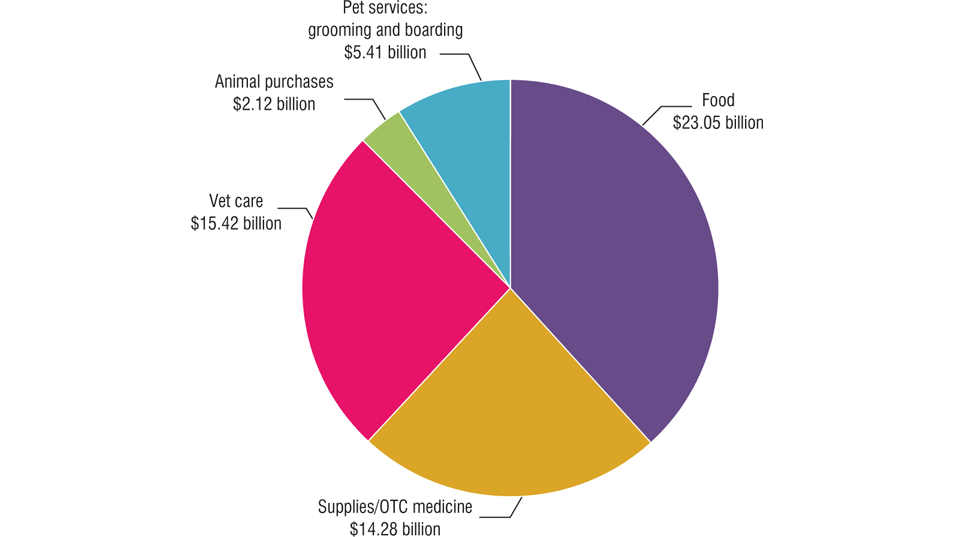 Pet Industry Market Size Ownership Statistics Pet | Autos Post